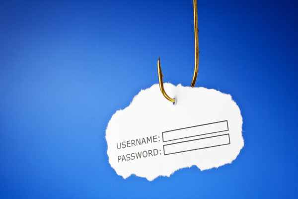 Identity Theft Through Broken Authentication and Session Management